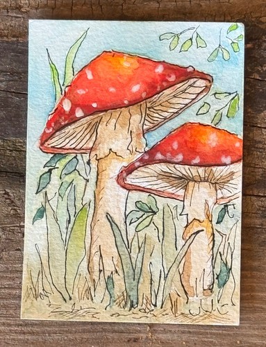 Acquerello originale aceo - originale,