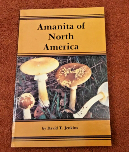 Amanita north america - of,