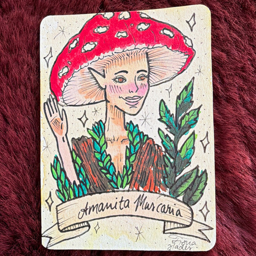 Aceo fiona ade disegno - aceo,