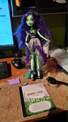 Monster high doll amanita - high,