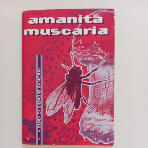 Amanita muscaria a cura - amanita,