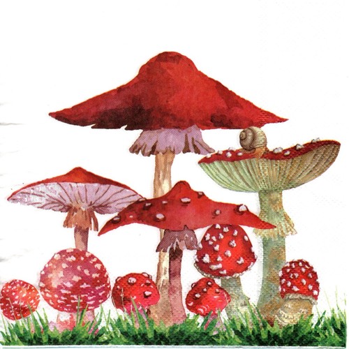 Serviettes papier - serviettes,