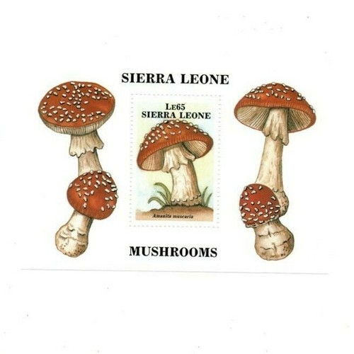Sierra leone 1988 funghi - sierra,
