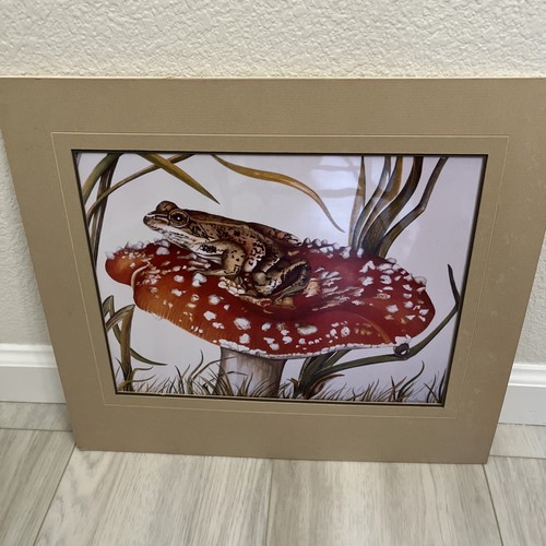 Amanita fungo albero rana - fungo,