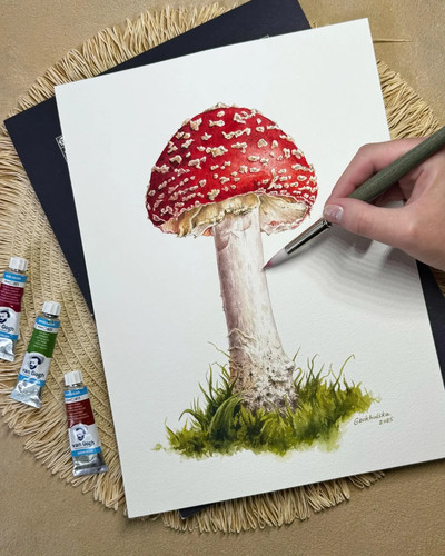 Amanita muscaria acquerello - amanita,