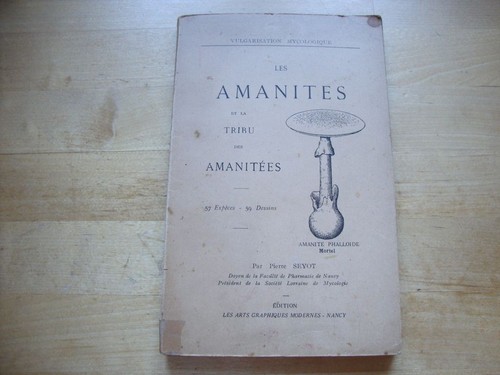 Rare les amanites - les, phalloide