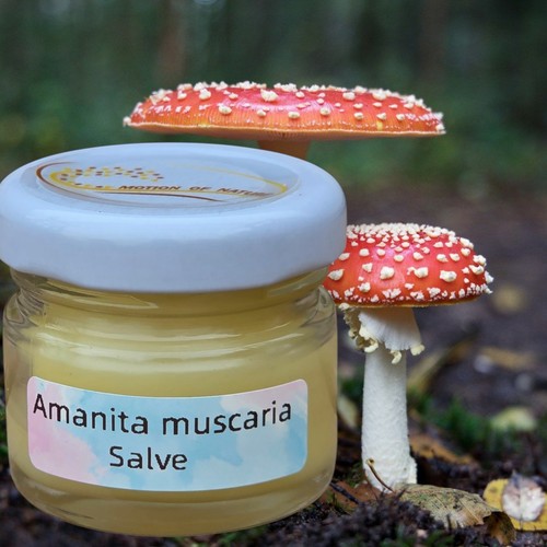 Red fly agaric amenita - red,