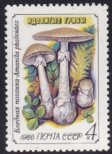 Russia mi5603 mnh - russia, funghi