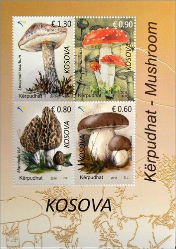Kosovo 2016 flora - kosovo, 2016.