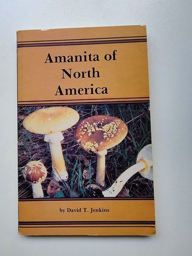 Amanita north america - amanita,