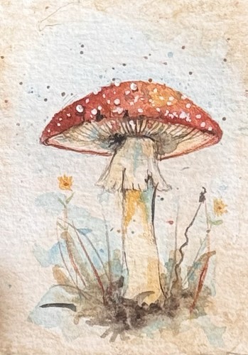 Acquerello originale aceo - originale,