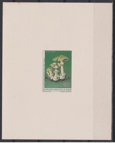Benin 1985 michel fungo - benin,