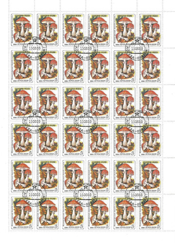 Russia 1986 funghi amanita - 1986,