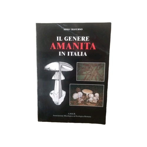 Genere amanita italia - amanita, in
