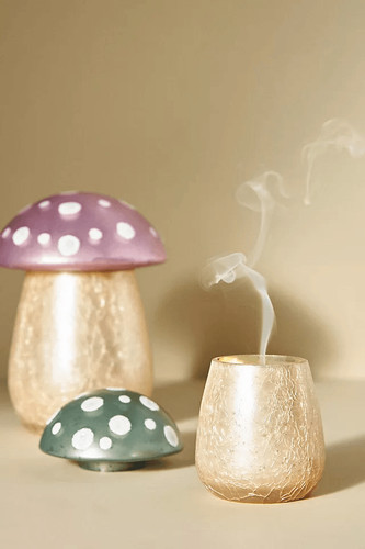 Anthropologie candela fungo - anthropologie,