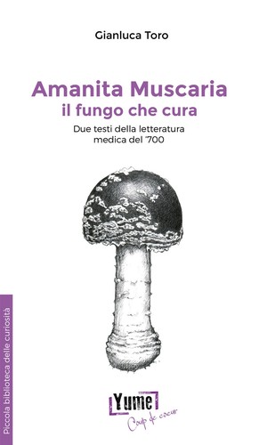 Amanita muscaria fungo che - amanita,
