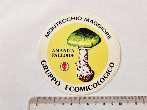 Adesivo amanita falloide - adesivo,